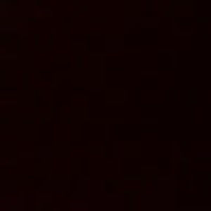 Meet your Posher, Spencer